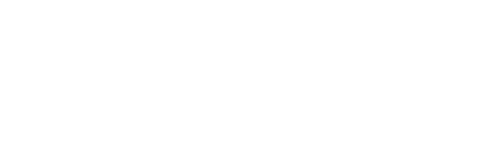 Lion-8 logo